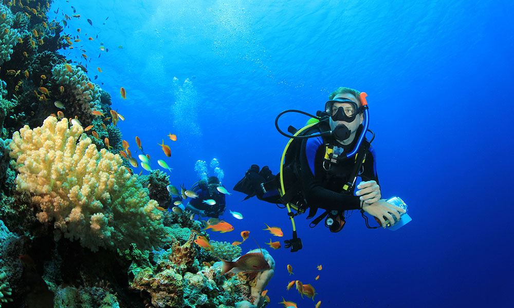 Scuba Hurghada Diving